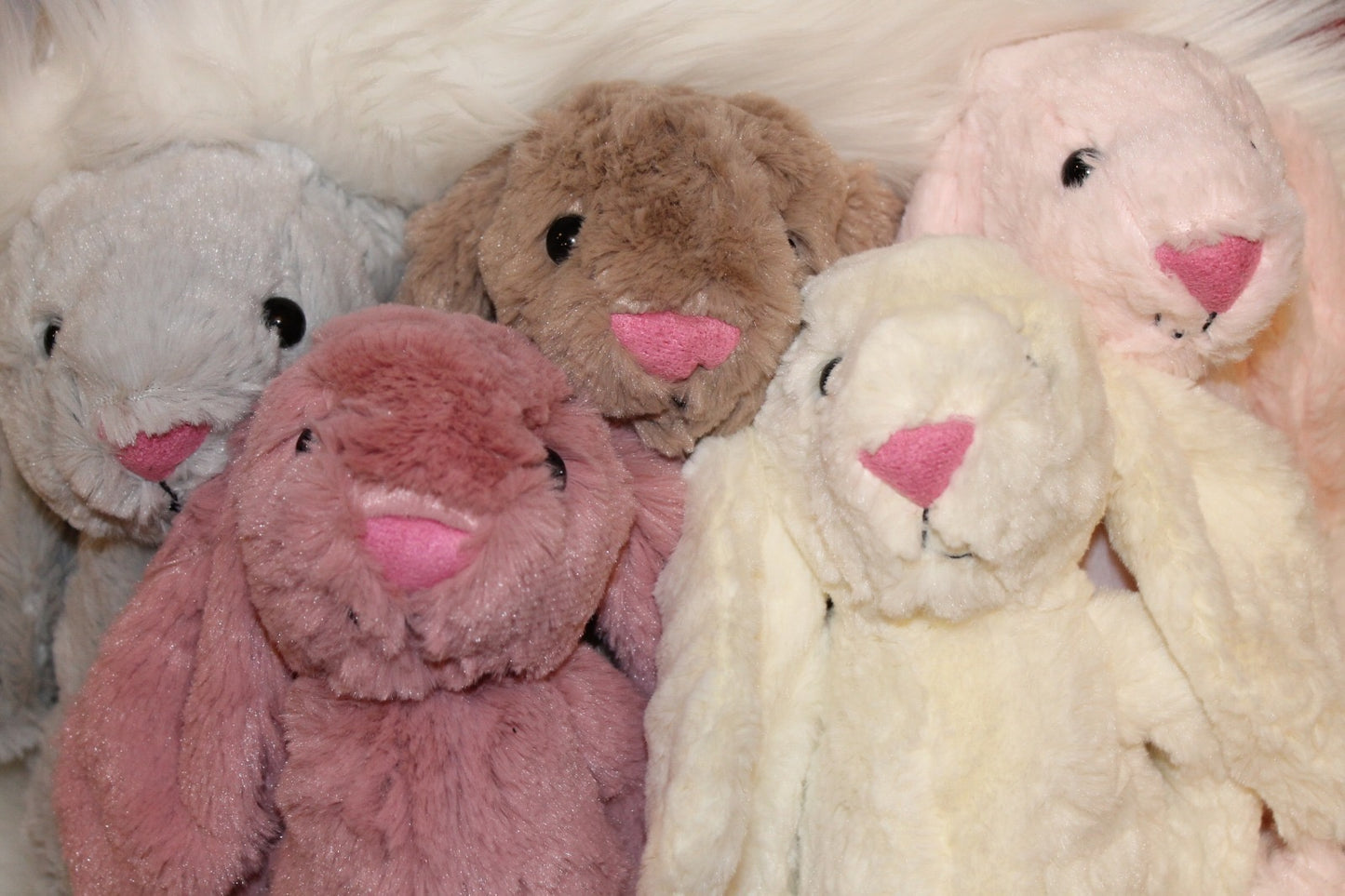 Personalized Bunny