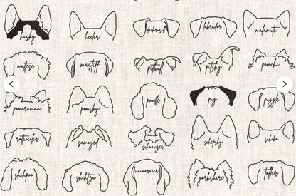 Dog Breed - Adult